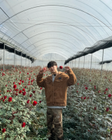 【十个勤天】麦田乌托邦玫瑰图鉴：十个勤天教你种出同款浪漫花海