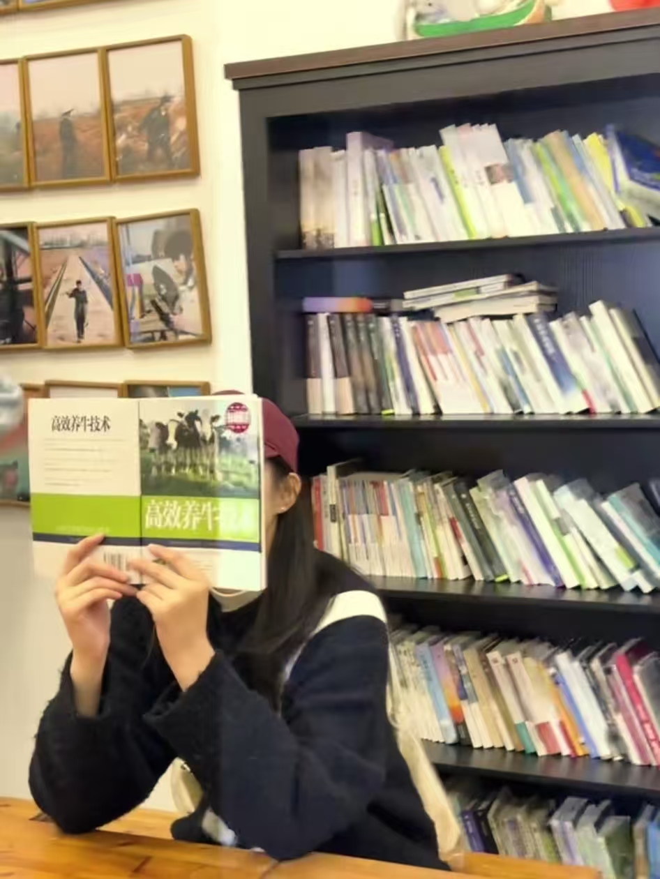 奔赴后陡门：把麦香与欢喜揣满怀...