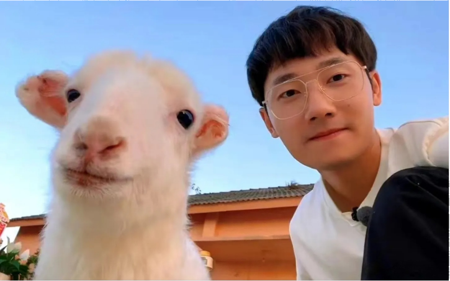 我眼中的蒋敦豪：土地上生长的青春力量..