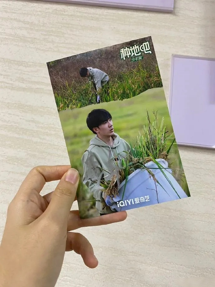 我眼中的鹭卓：后陡门的耕耘者与追光者