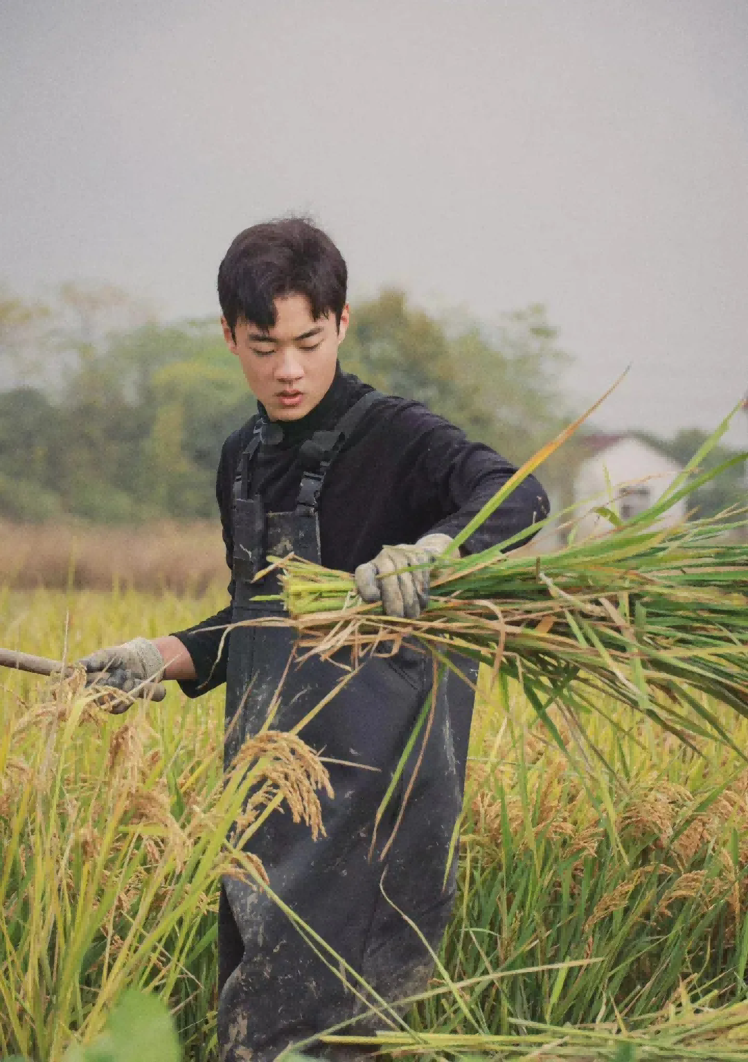 我眼中的陈少熙：泥地里的少年，向阳而生