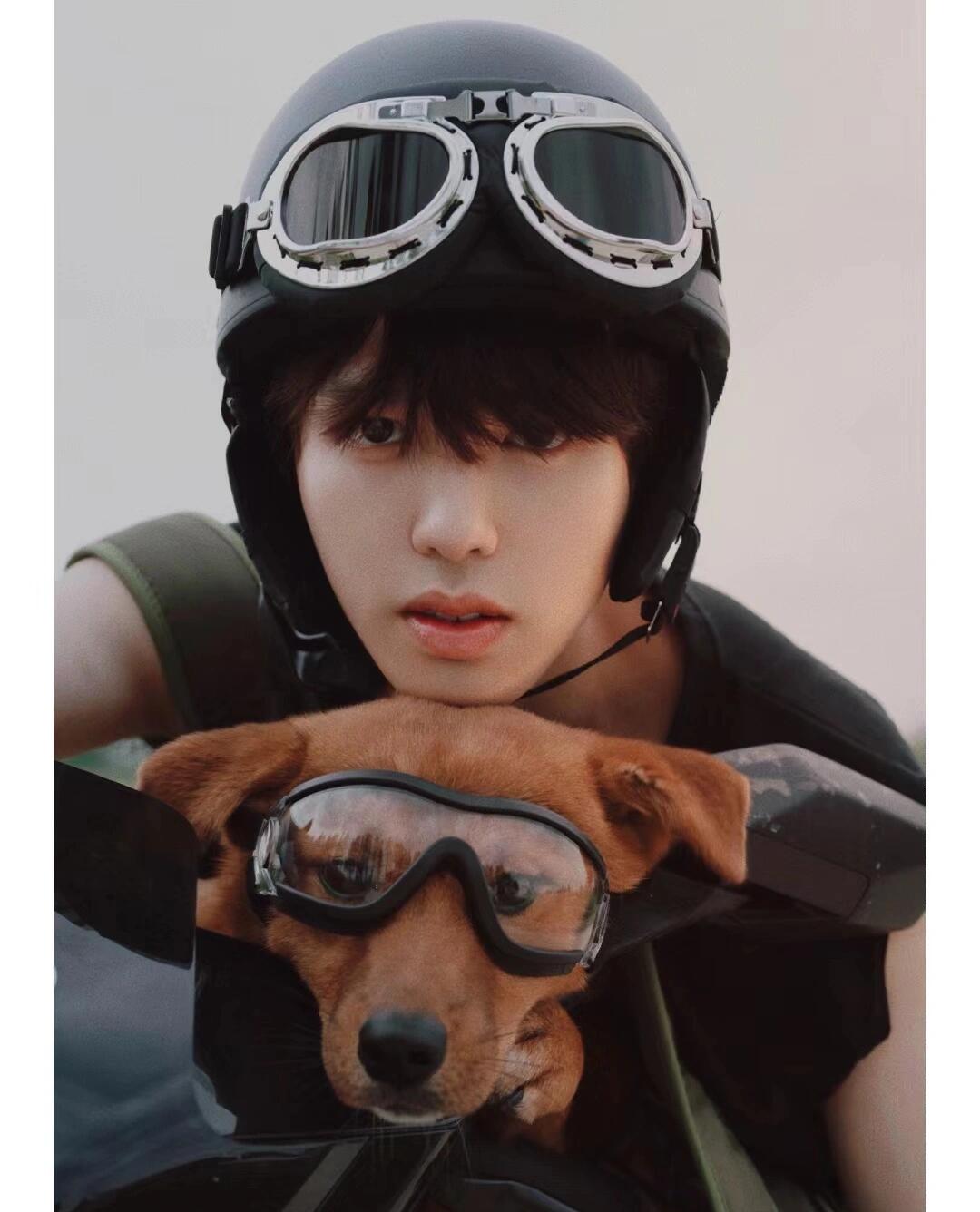 烟火入怀 温柔成炬：我眼中的李昊