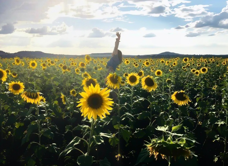 愿我们在各自生活里认真耕耘，静待花开