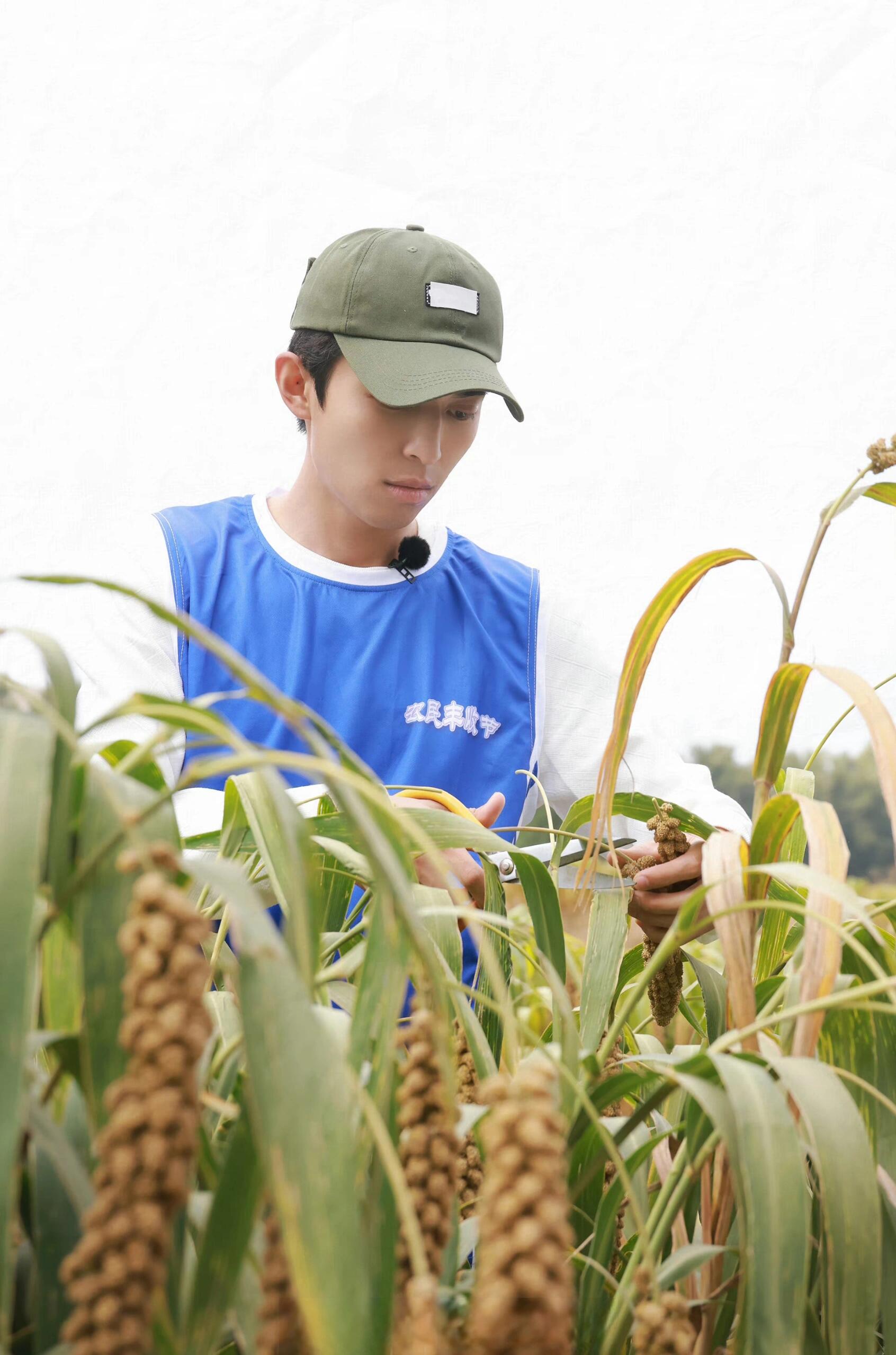 三餐暖人心，一院藏温柔：我眼中的赵小童