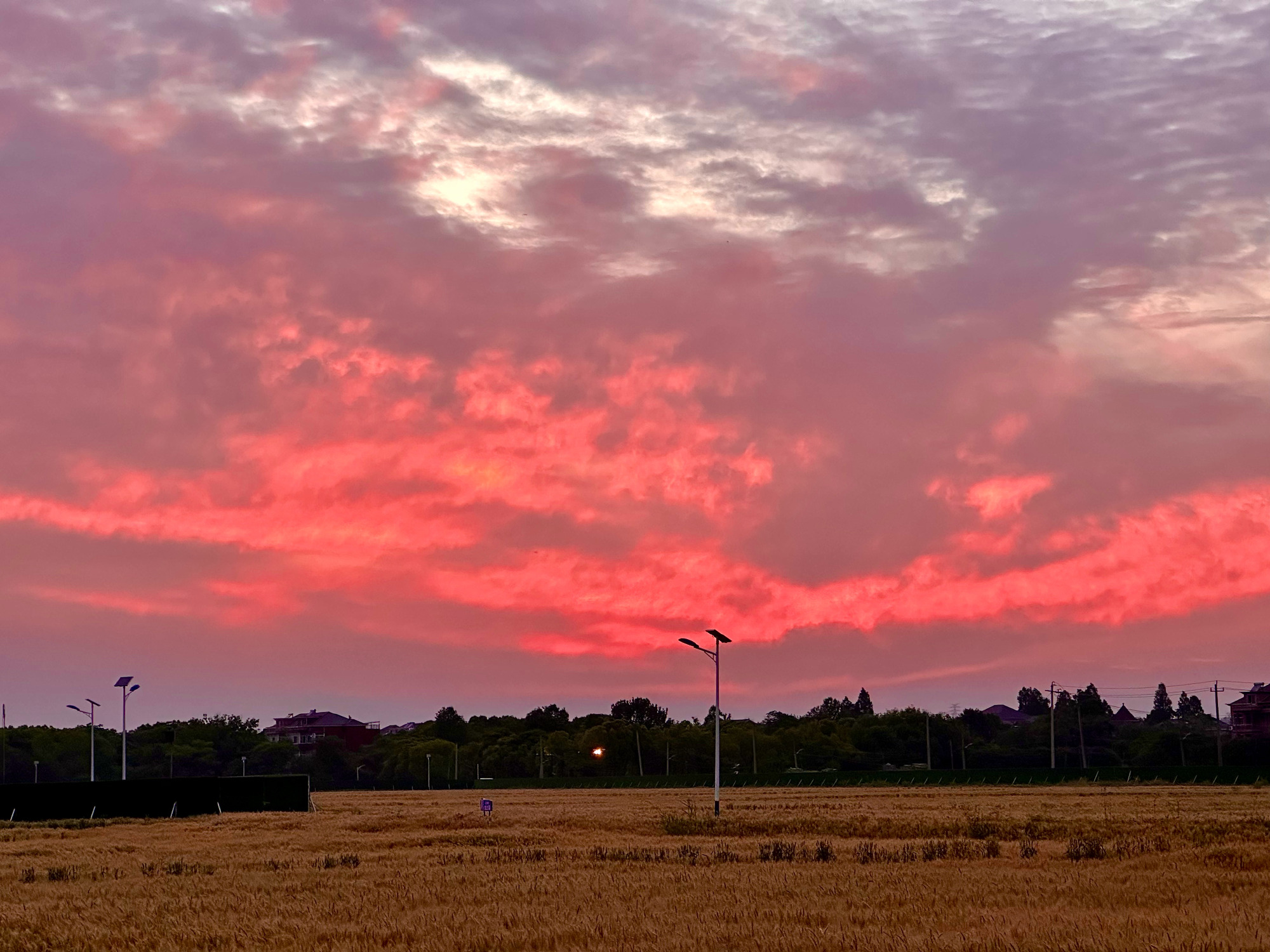 心向陡门，赴一场烟火之约
